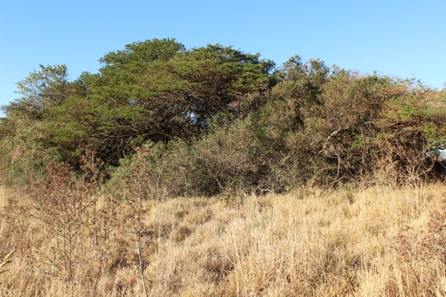 0 Bedroom Property for Sale in Khamanga Bay Eastern Cape